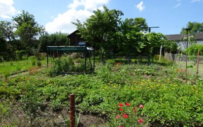 Öffentliche Gartenbesichtigung 2023